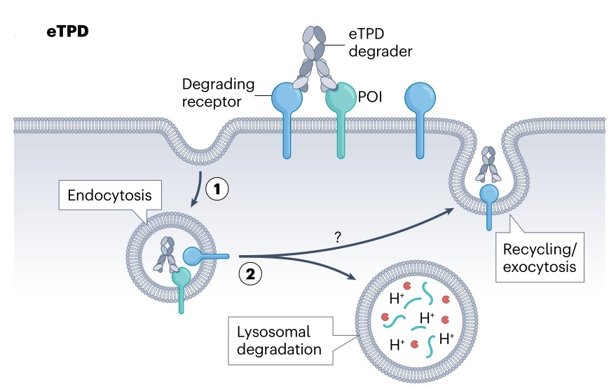 20250412_qzqfa 20250412_qzqfa