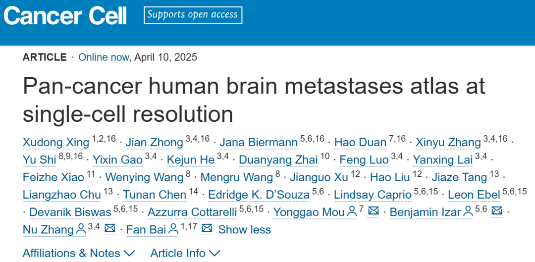 泛癌脑转移研究新突破：单细胞图谱揭示共同弱点与治疗新方向