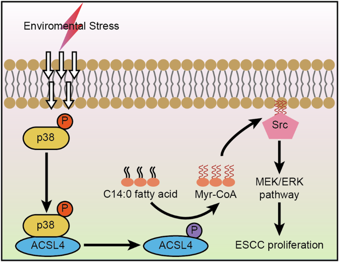 20250414_3q72x 20250414_3q72x