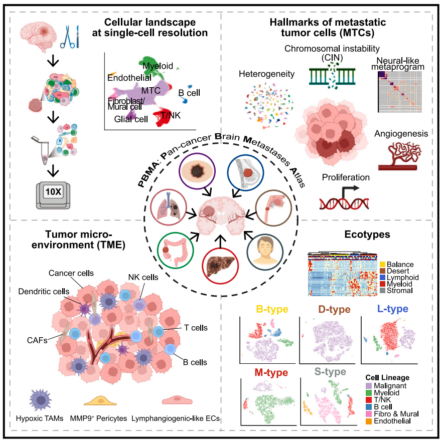 20250414_p1h7p 20250414_p1h7p