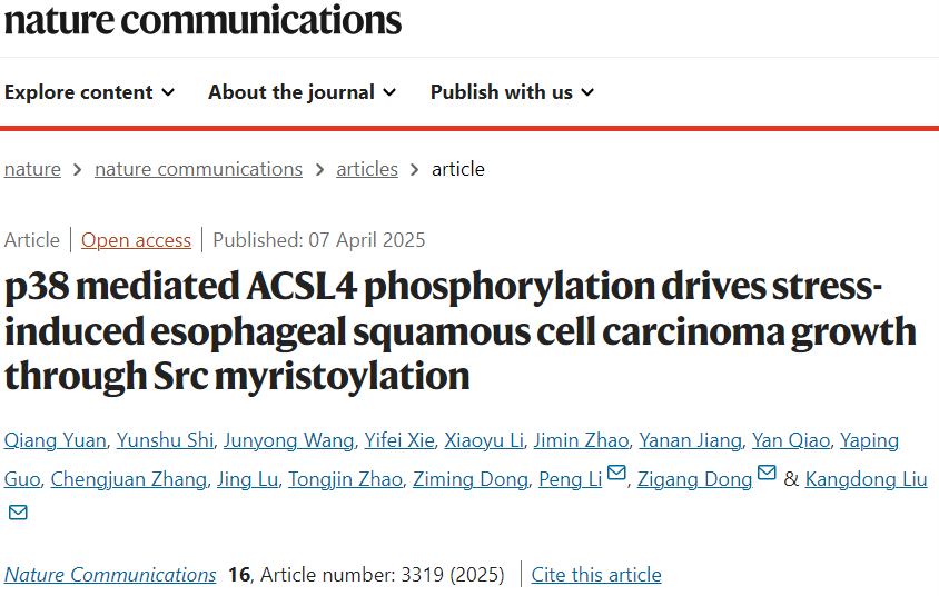 20250414_wtydc 20250414_wtydc