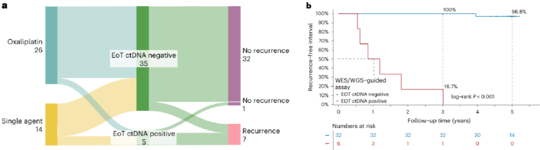 20250417_00oe5 20250417_00oe5