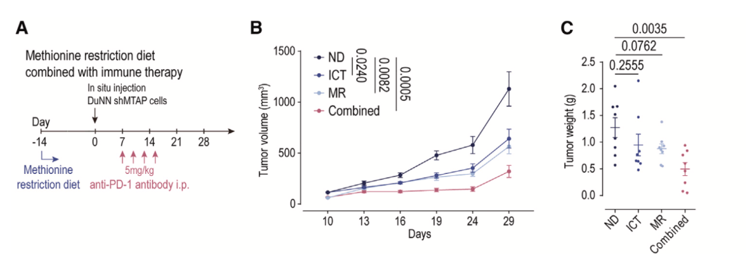 20250417_52v7a 20250417_52v7a