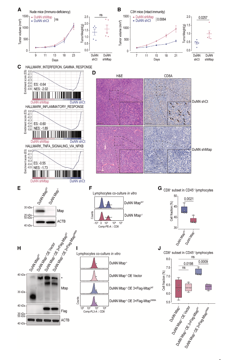 20250417_5hi4d 20250417_5hi4d