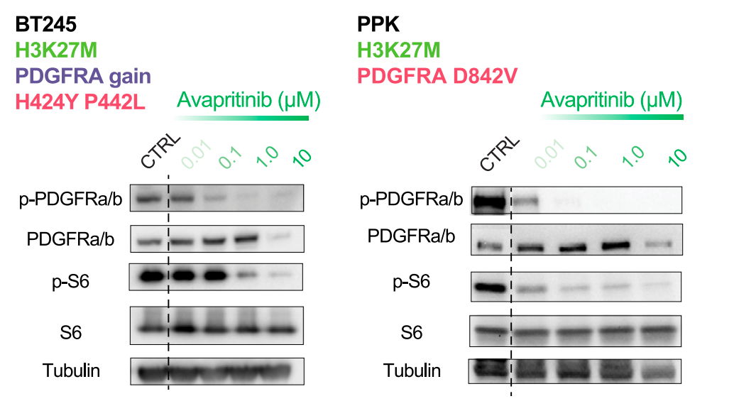 20250417_a6ko2 20250417_a6ko2