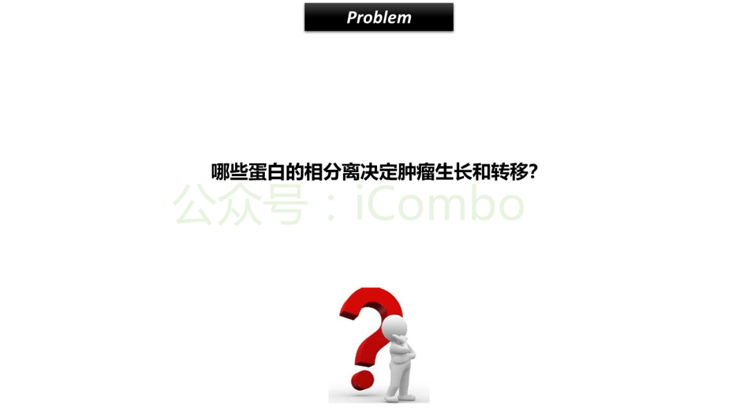 20250417_b5xme