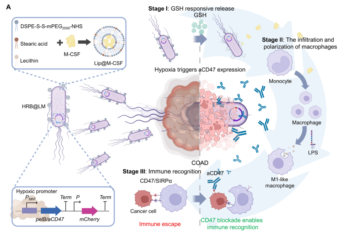 20250417_di8in 20250417_di8in