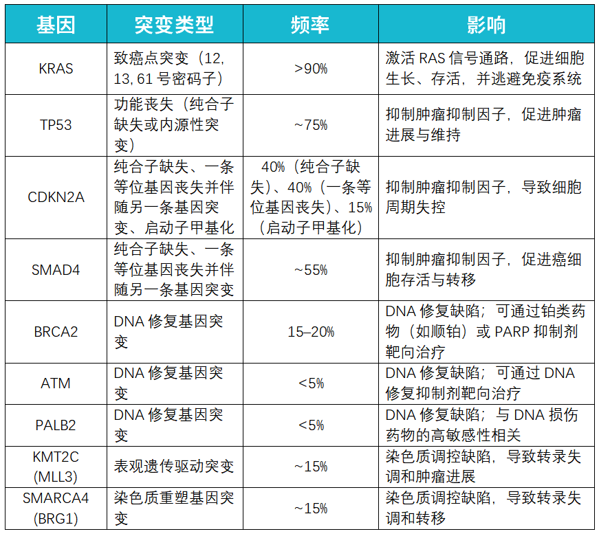 胰腺癌靶向治疗新前沿：基因检测指导下的精准用药策略