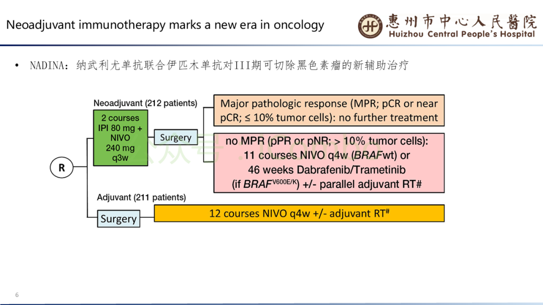 20250417_l7oic 20250417_l7oic