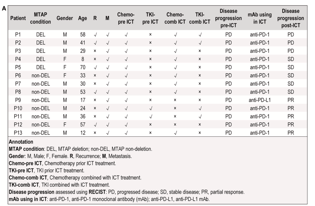 20250417_muk4h 20250417_muk4h