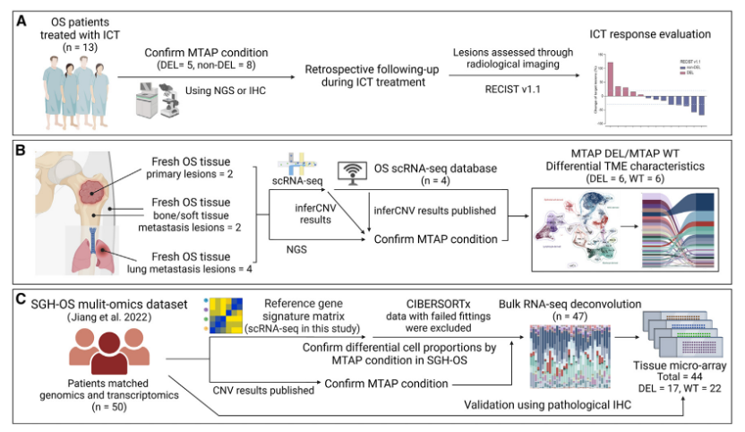 20250417_o5cp2 20250417_o5cp2