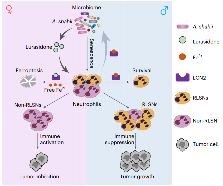 20250417_qmoje 20250417_qmoje