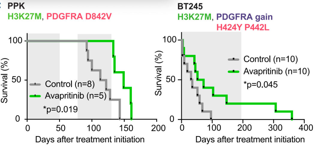 20250417_ruo4j 20250417_ruo4j