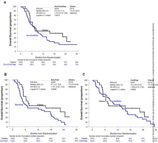 20250417_w43wu 20250417_w43wu
