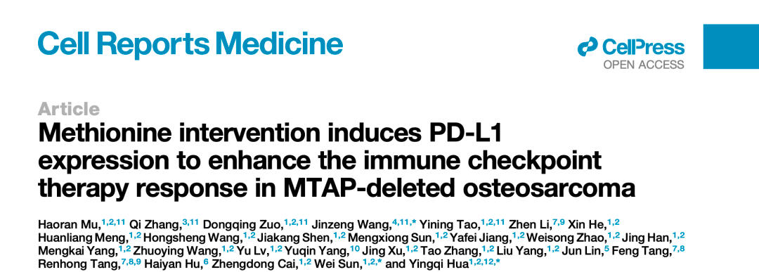 20250417_yajda 20250417_yajda