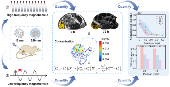 20250417_ynpsq 20250417_ynpsq