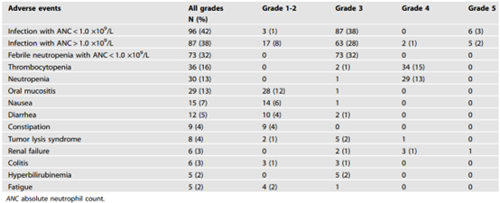 20250419_4do55 20250419_4do55