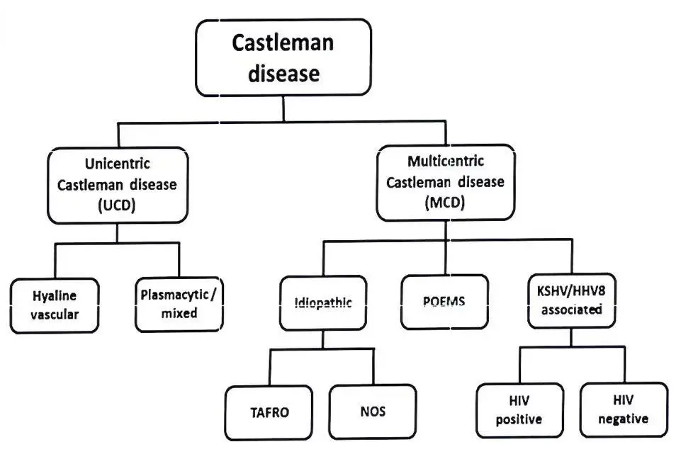 Castleman病分类、诊断与治疗药物：司妥昔单抗、托珠单抗等靶向药解析