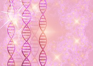 年轻乳腺癌患者必看：BRCA1 vs BRCA2基因突变差异、临床特征与早期检测的重要性