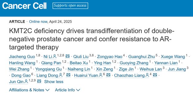 揭秘前列腺癌靶向药耐药新机制：KMT2C基因与双阴性前列腺癌的形成