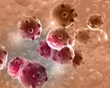 靶向药Itolizumab（Alzumab）治疗急性GVHD遇挫：FDA拒绝突破性疗法认定与加速审批