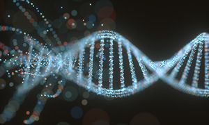 FGFR2抑制剂有望预防KRAS突变型胰腺癌？一项临床前研究的突破性发现