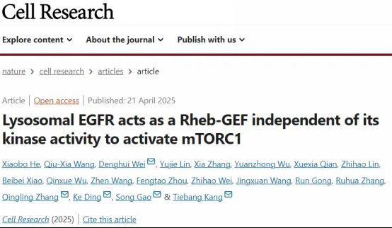 EGFR突变肺癌治疗新视角：揭示激酶非依赖性机制与潜在靶向策略