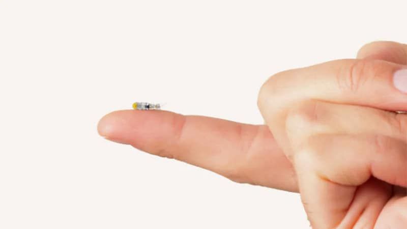 米粒大小微型机器人：革新脑肿瘤靶向治疗与精准活检