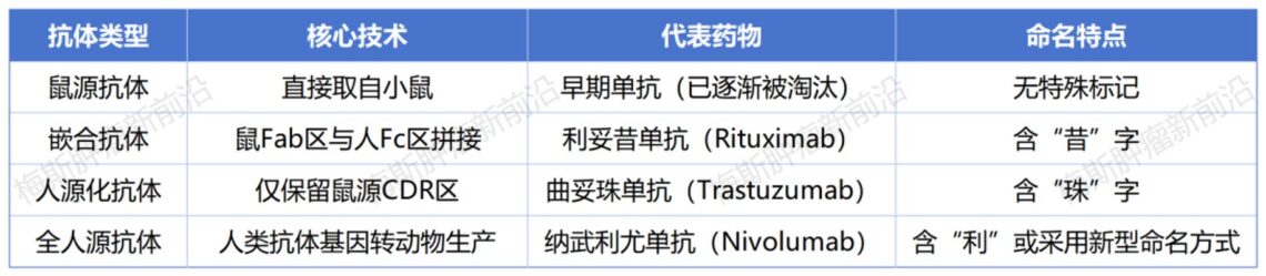揭秘靶向药单抗名字里的秘密：‘珠’‘昔’‘利’‘妥’的含义与作用