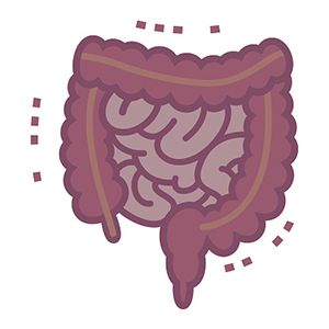 结直肠癌筛查新视角：FIT与结肠镜效果对比及研究发现