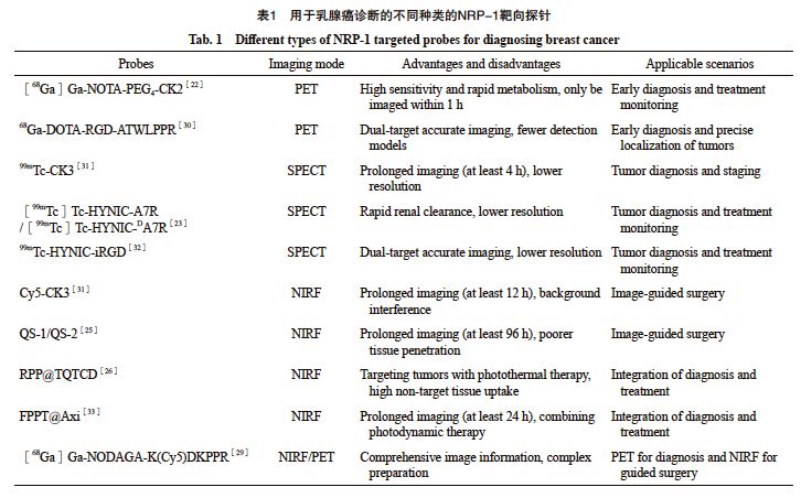 靶向NRP-1：分子探针如何助力乳腺癌精准诊断与治疗评估