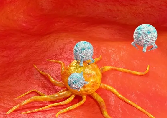 Dostarlimab免疫疗法在dMMR癌症中实现惊人完全缓解率，或可替代手术