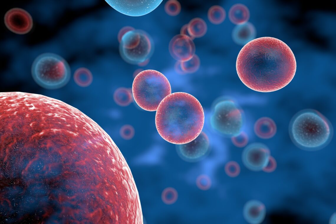 胰腺癌治疗新视角：肿瘤分子特征的种族差异与抗癌药疗效研究
