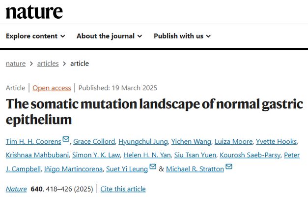 胃癌基因突变图谱：Nature研究揭示癌前体细胞演化与靶向药新视角