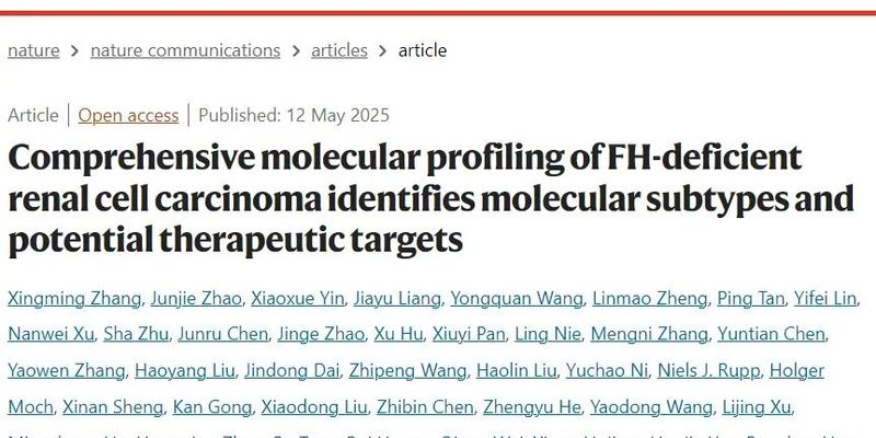 FH缺陷型肾细胞癌研究新突破：识别分子亚型，探索精准靶向药治疗