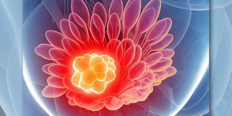 ASCO 2025前瞻：备受瞩目的乳腺癌靶向药三期临床研究揭晓