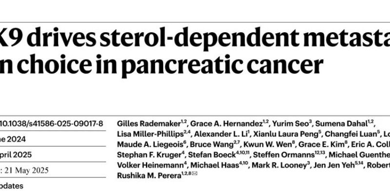 胰腺癌转移新突破：PCSK9如何决定肿瘤“落脚点”？