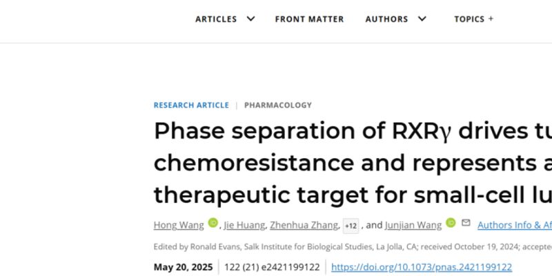 小细胞肺癌化疗耐药新突破：RXRγ成关键治疗靶点，改善患者预后
