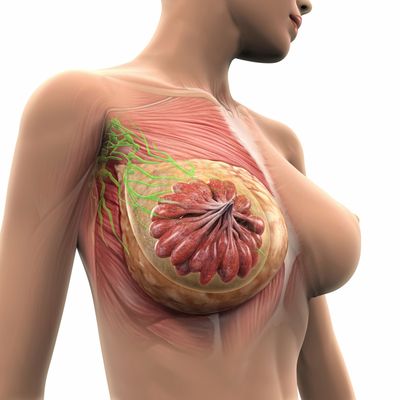 内分泌治疗如何影响乳腺癌放疗决策？POWER临床研究揭示新可能
