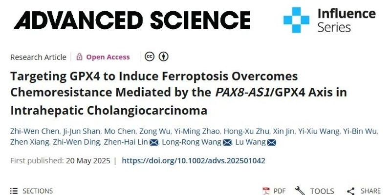 攻克肝内胆管癌化疗耐药：靶向GPX4诱导铁死亡，提升吉西他滨与顺铂疗效
