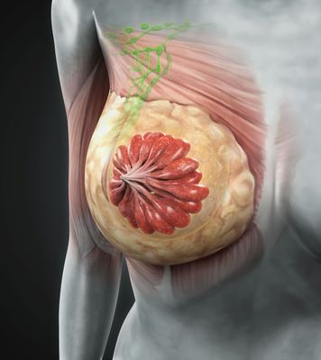 FDA批准thiotepa (Tepylute) 多剂量瓶：乳腺癌、卵巢癌抗癌药新进展