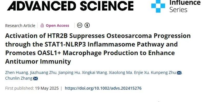 骨肉瘤治疗新突破：HTR2B靶点如何抑制肿瘤并增强免疫？