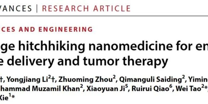 β-榄香烯纳米药物新突破：巨噬细胞递送系统重塑乳腺癌免疫微环境