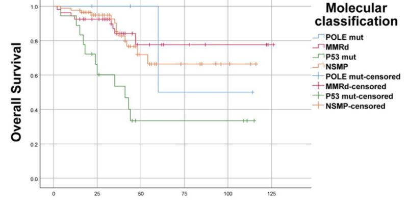 子宫内膜癌诊疗新突破：2023 FIGO分期系统如何融合分子分型，精准指导靶向药与免疫治疗？