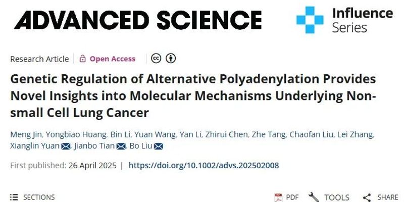 揭秘非小细胞肺癌风险：基因变异(apaQTL)如何影响LYRM4基因并增加患癌几率
