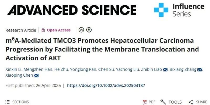 肝细胞癌靶向治疗新视角：研究揭示TMCO3通过激活AKT促进肿瘤进展