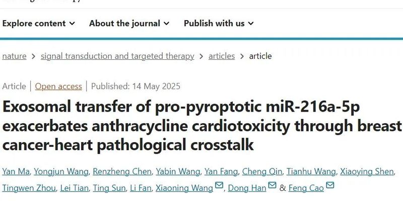 阿霉素治疗乳腺癌：深入解析心脏毒性机制与潜在靶向干预策略