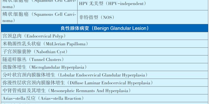 2025妇科肿瘤病理诊断：子宫颈癌、卵巢癌、子宫内膜癌等最新分类与分子特征解读