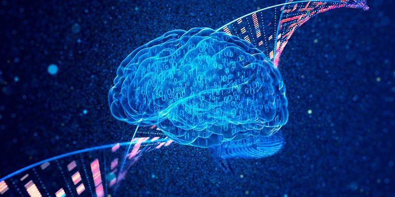 脑肿瘤诊断新突破：ROBIN基因检测实现2小时超快速确诊，加速精准靶向治疗