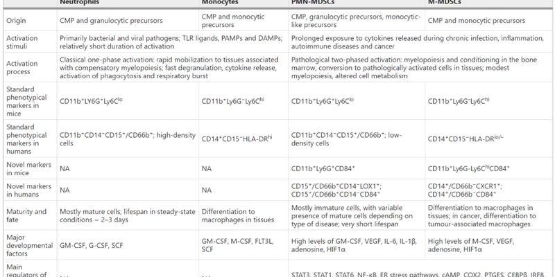 靶向髓源性抑制细胞（MDSCs）：癌症免疫治疗的新策略